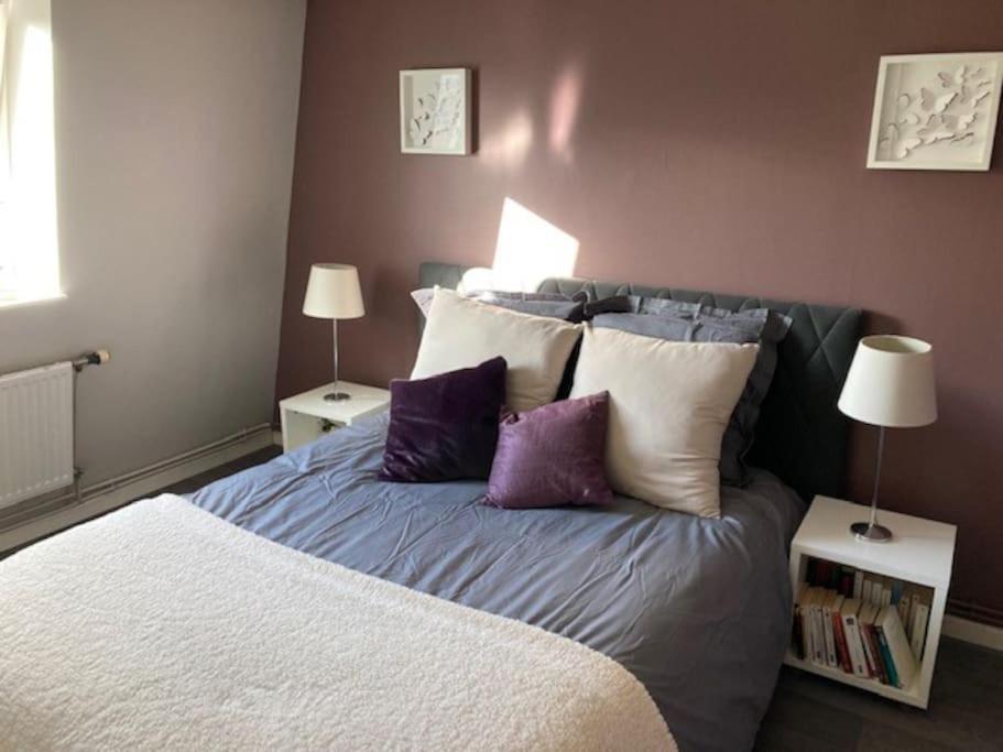 Agreable Et Spacieuse Maison Centre Ville Saint-Omer Ngoại thất bức ảnh